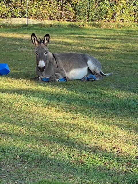 Rico Relaxing