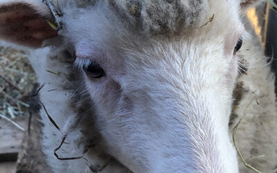 Emotional Day on the Highway